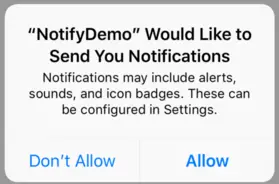 Ios 11 notify demo request.png